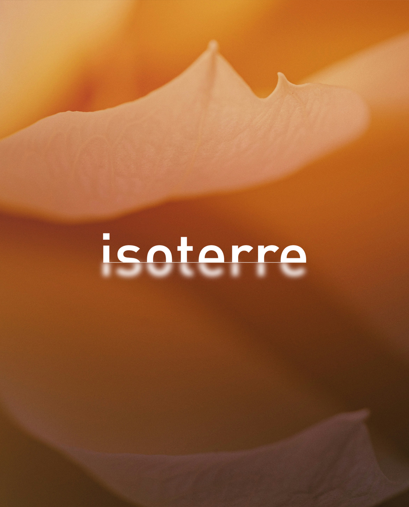 home-page-marquee-isoterre